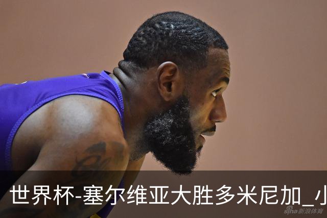 世界杯-塞尔维亚大胜多米尼加 小组第二进八强