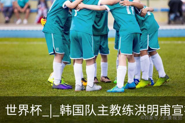 世界杯 | 韩国队主教练洪明甫宣布辞职