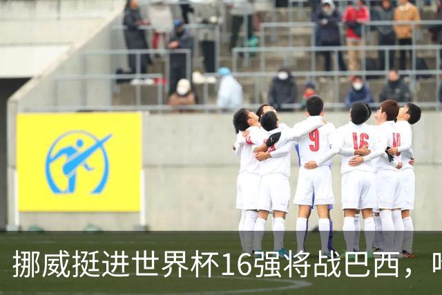 挪威挺进世界杯16强将战巴西，哈兰德发声