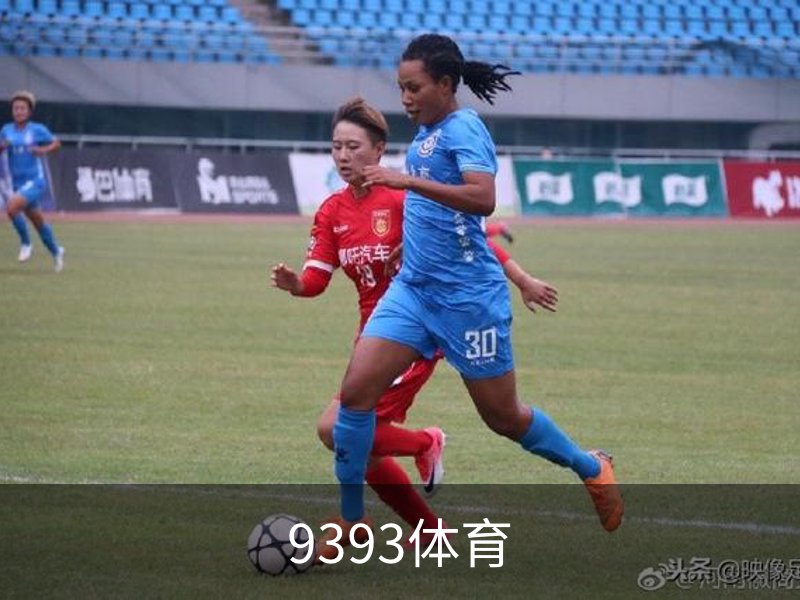 关于9393体育